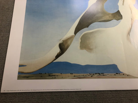 GEORGIA O'KEEFFE Pelvis with the Distance, 1984