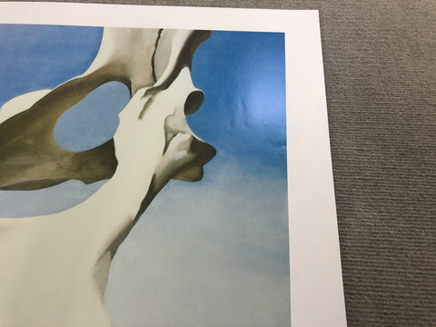 GEORGIA O'KEEFFE Pelvis with the Distance, 1984