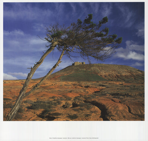 KLAUS TIEDGE View of "Castillo de Guanapay", Lanzarote, 2009