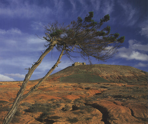 KLAUS TIEDGE View of "Castillo de Guanapay", Lanzarote, 2009