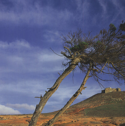 KLAUS TIEDGE View of "Castillo de Guanapay", Lanzarote, 2009