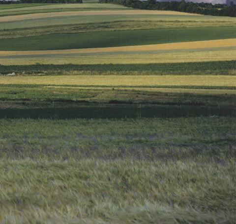 KLAUS TIEDGE Late Summer in the Eifel Area, Germany, 2009