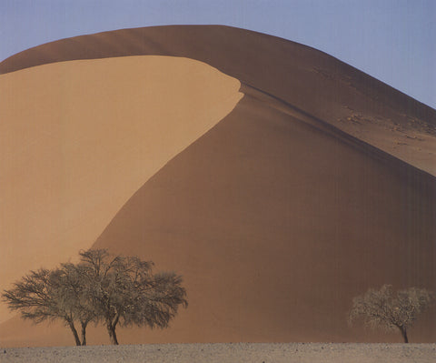 ARCHIV KIEDROWSKI Red Namib Desert, Namibia, 2009