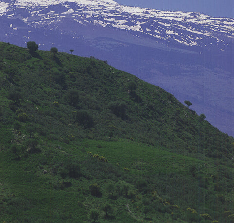 ARCHIV KIEDROWSKI View of Mount Etna, Sicily, 2009