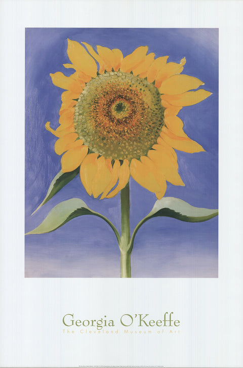 GEORGIA O'KEEFFE Sunflower, New Mexico, 1993