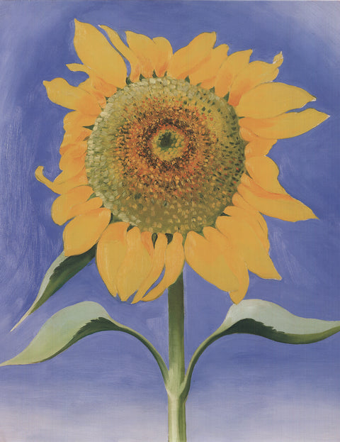 GEORGIA O'KEEFFE Sunflower, New Mexico, 1993