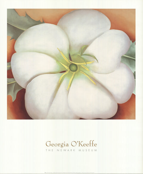 GEORGIA O'KEEFFE White Flower on Red Earth, 1995