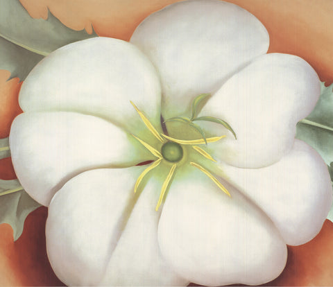 GEORGIA O'KEEFFE White Flower on Red Earth, 1995