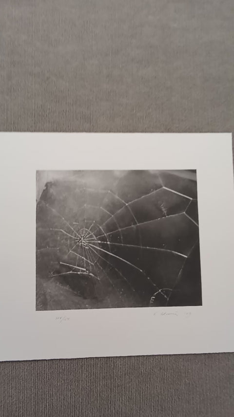 VIJA CELMINS Spider Web, 2009 - Signed